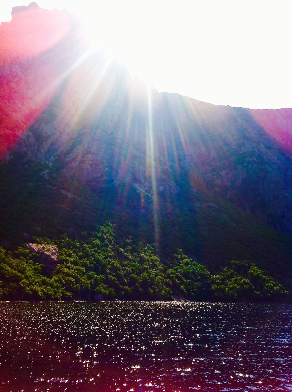 Beautiful pink and blue sunlight shining on the ocean