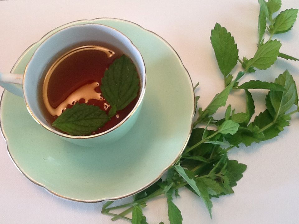 Green cup of tea with peppermint leaves lying beside it. 