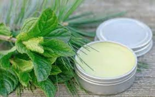Aromatic peppermint salve surrounded with leaves from the peppermint plant.
